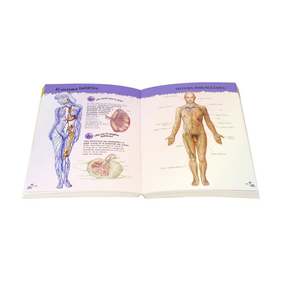 Enciclopedia infantil: 500 preguntas y respuestas sobre el cuerpo humano